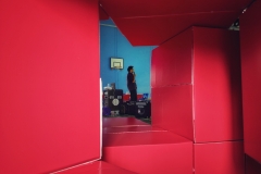 Dr. Murad Banaji talking about the Messy Mathematics of Living Things